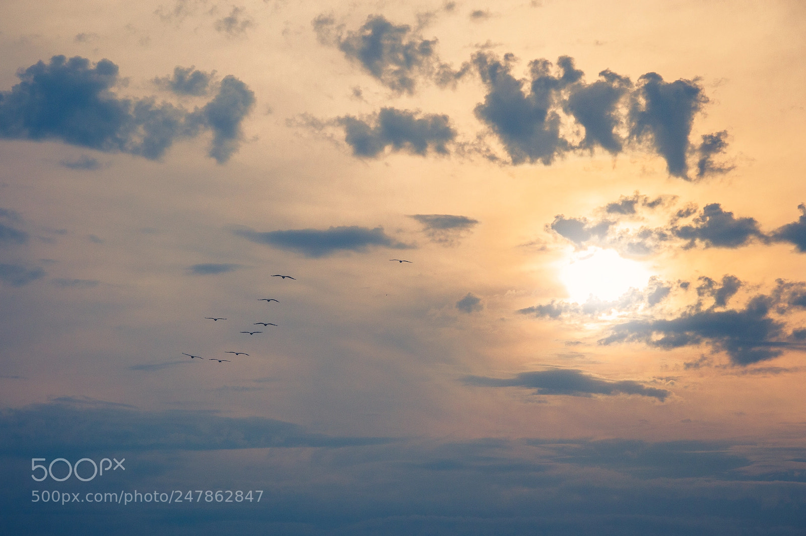 Nikon D3200 sample photo. Edit photography