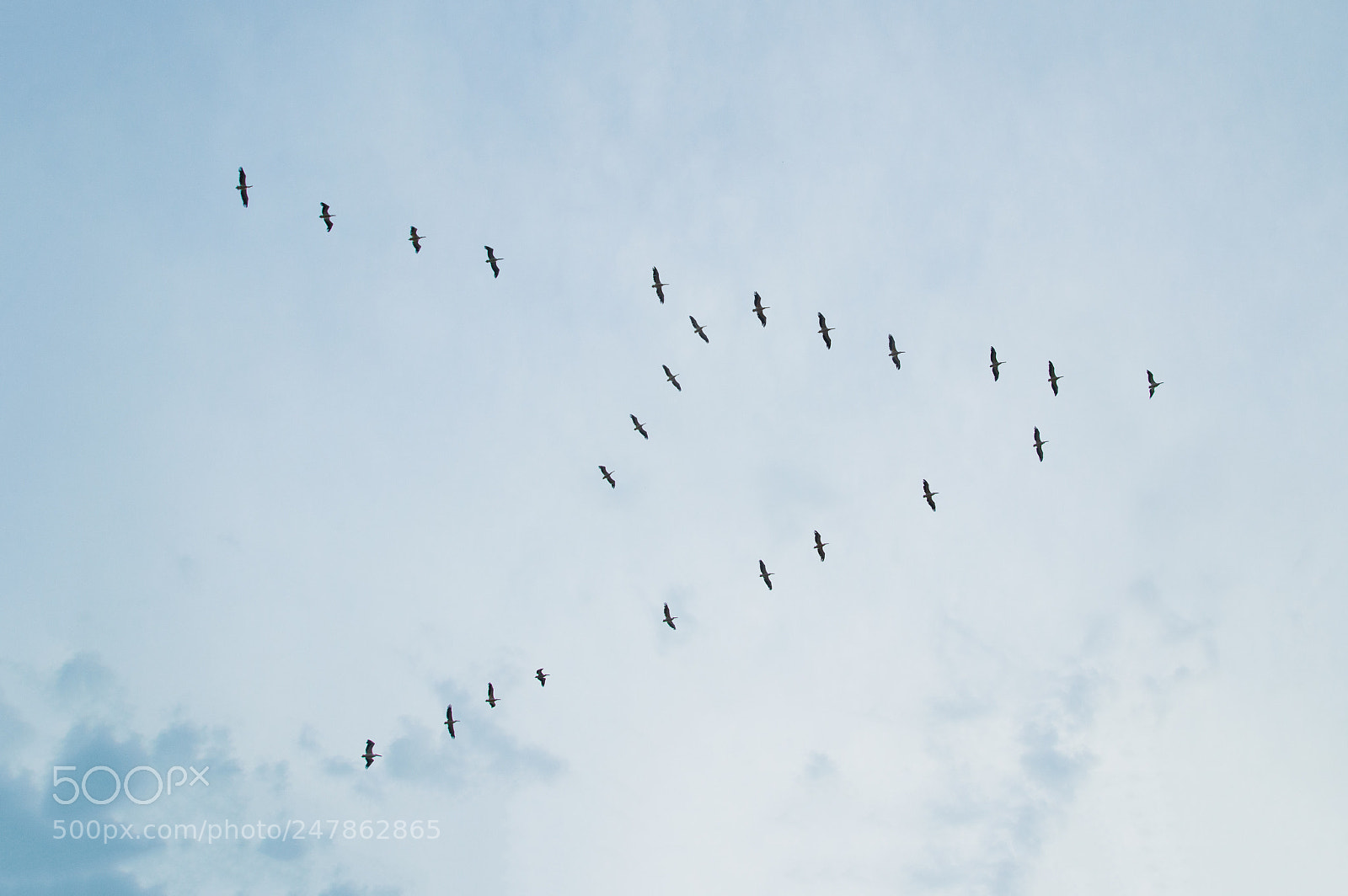 Nikon D3200 sample photo. Edit photography