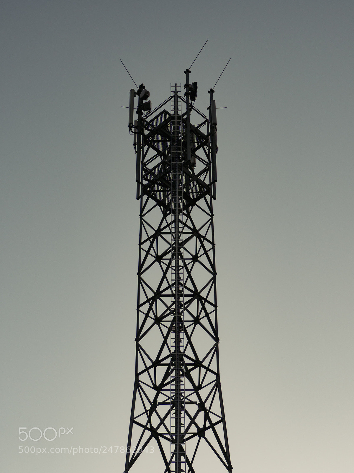 Olympus OM-D E-M10 II sample photo. Antenna photography