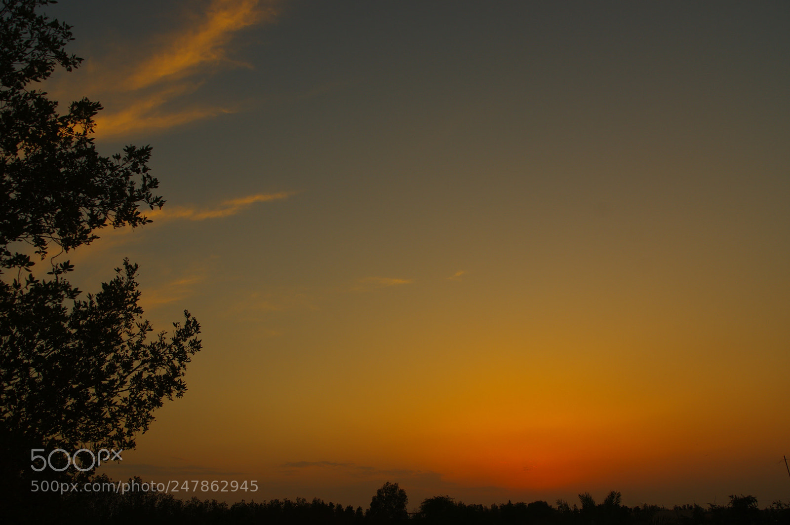 Pentax K-3 sample photo. Untitled photography