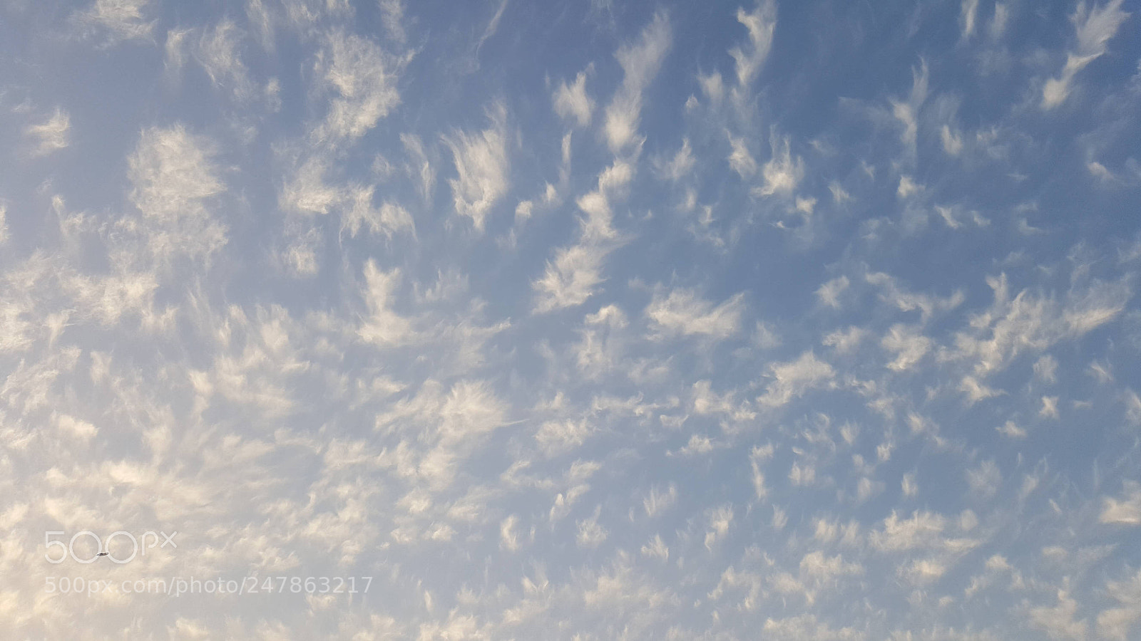 Samsung GALAXY S6 edge sample photo. Untitled photography