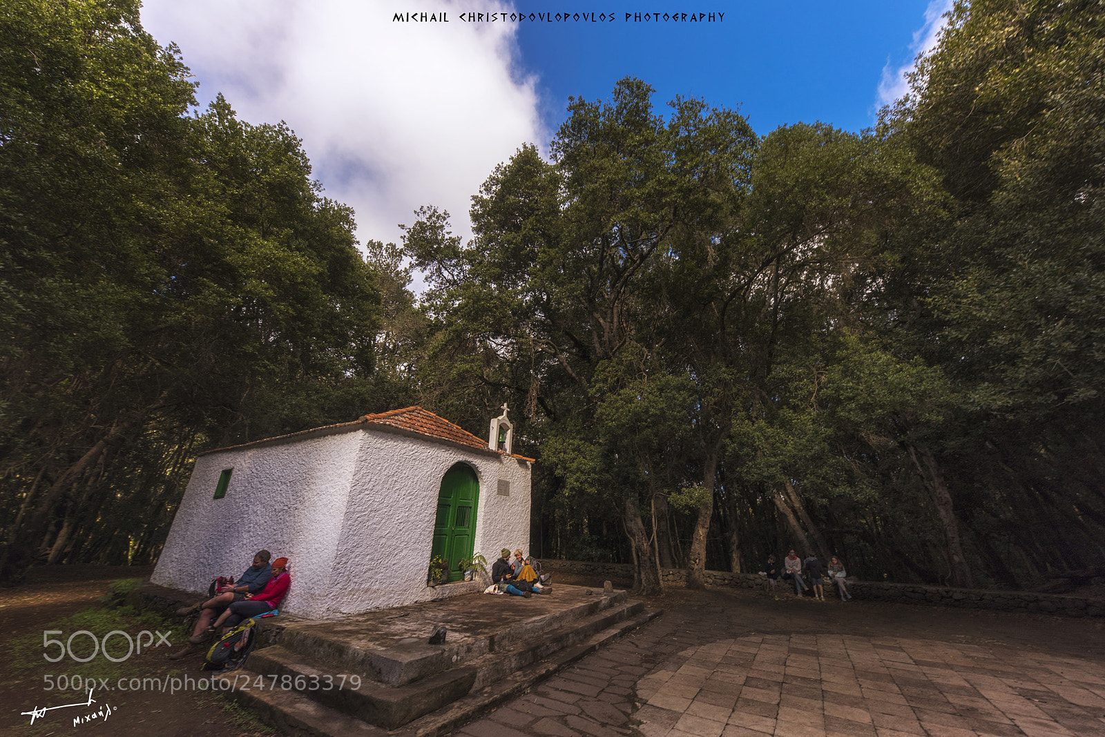 Nikon D810 sample photo. El cedro (la gomera) photography