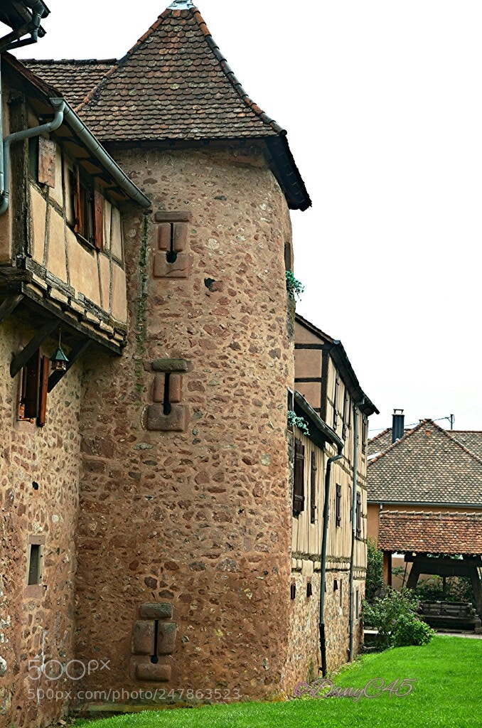 Nikon D5100 sample photo. Alsace (3) photography