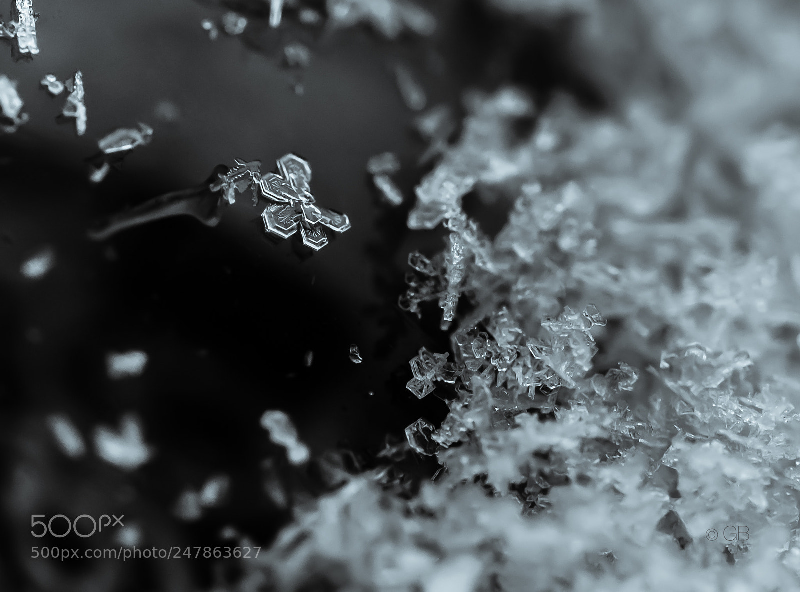 Nikon D7100 sample photo. Snow photography