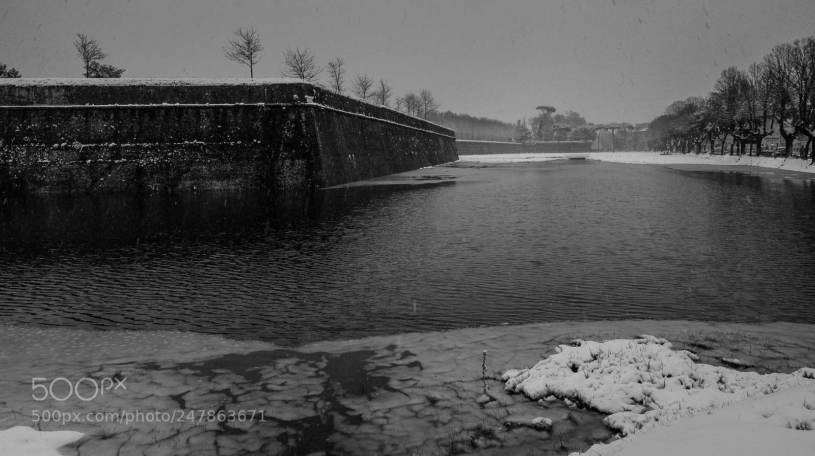 Olympus OM-D E-M10 sample photo. Flooded ditch under the photography