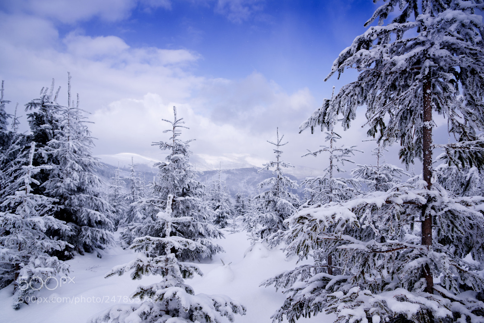 Pentax K-70 sample photo. Winter photography