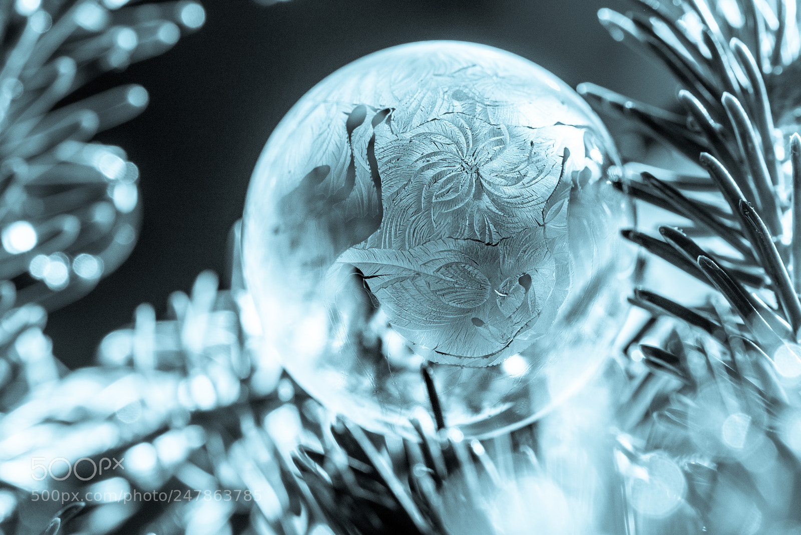 Nikon D800 sample photo. Frozen bubble photography