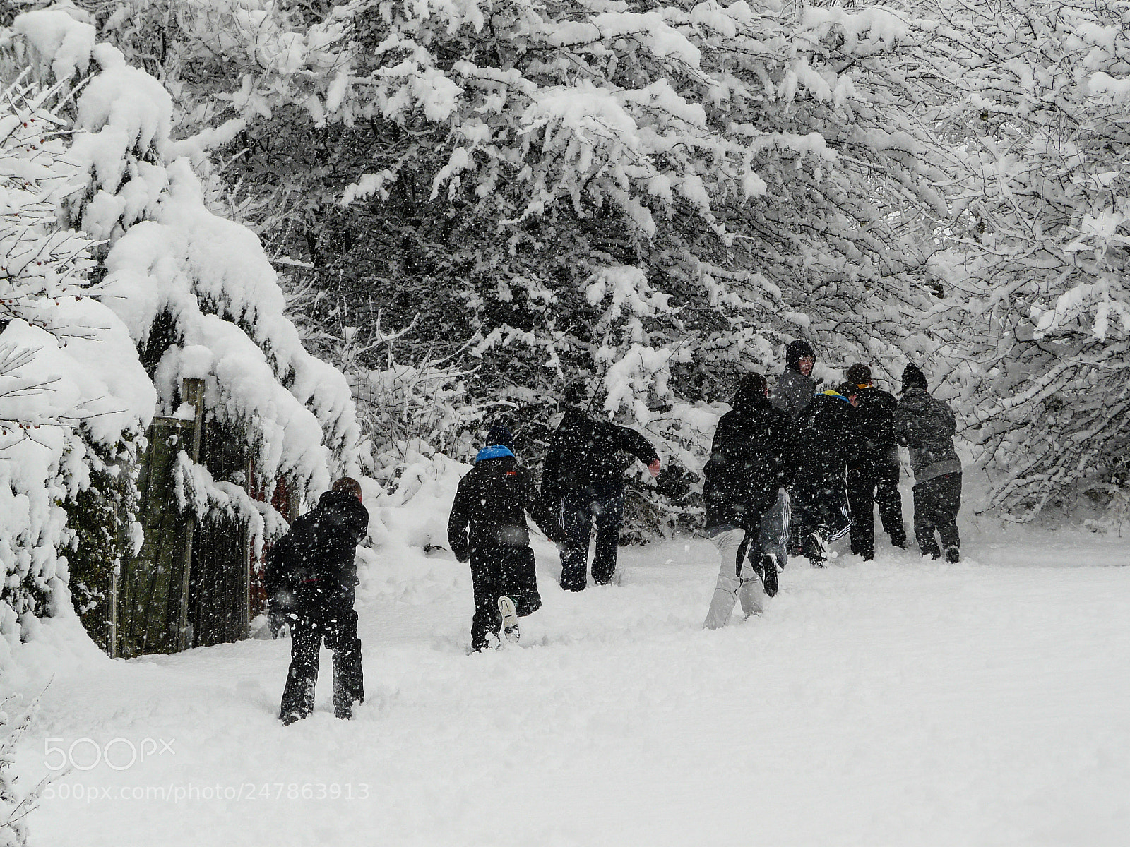 Panasonic DMC-FZ18 sample photo. Playing in the snow,bolton photography
