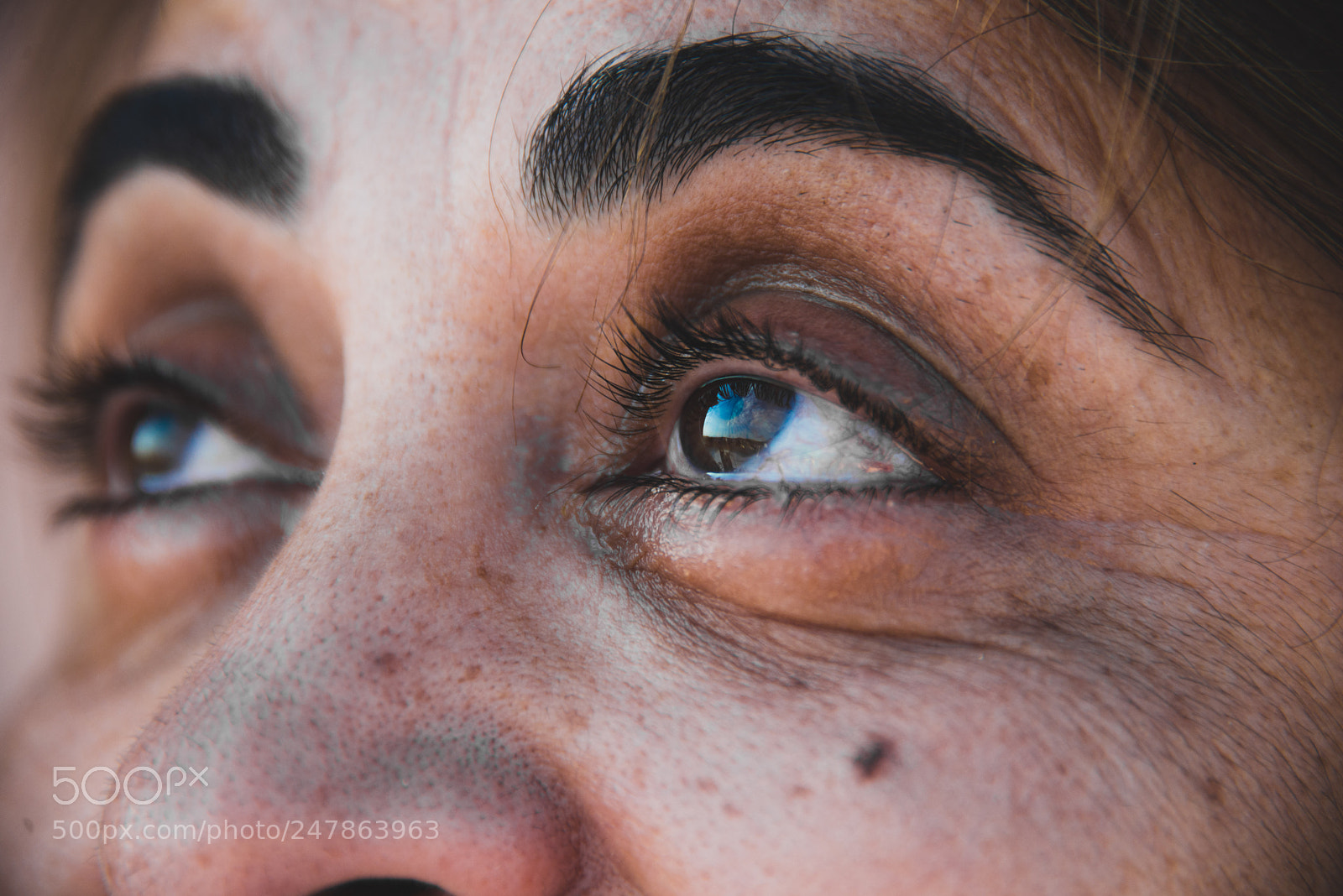 Nikon D610 sample photo. September photography