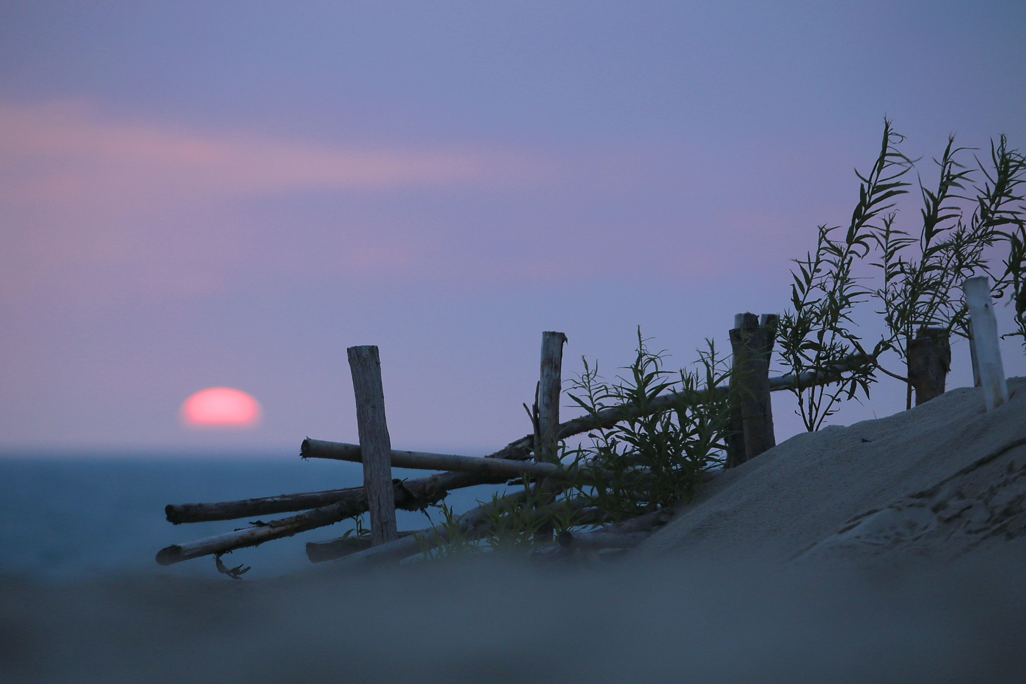 Canon EF 70-300mm F4-5.6L IS USM sample photo. At the end of the day... photography