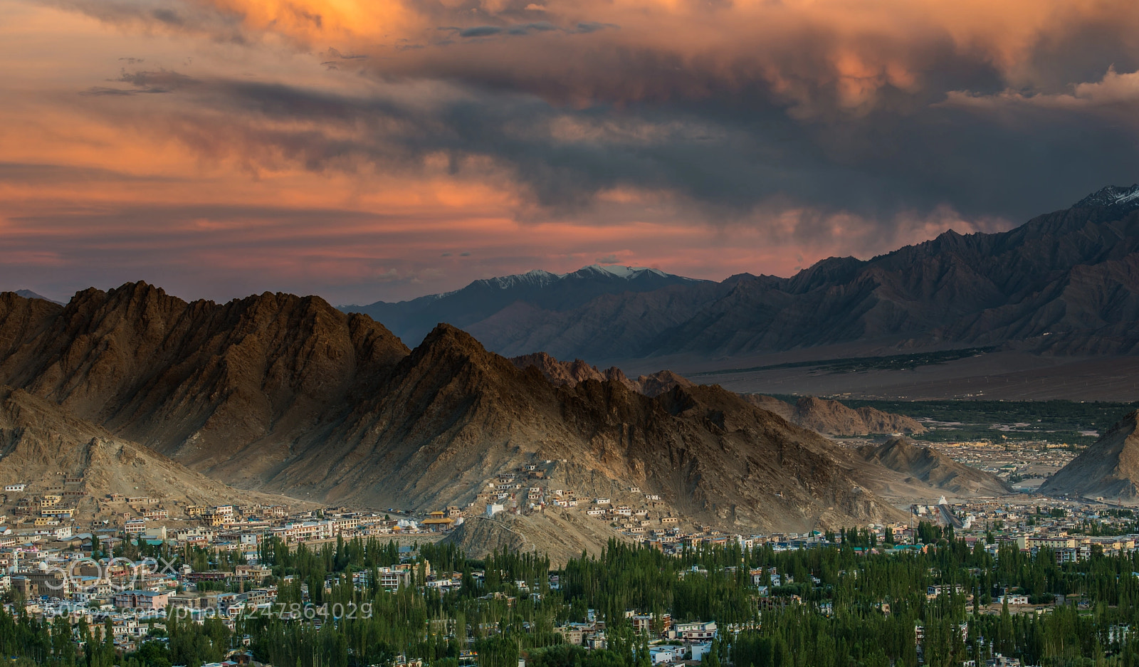 Nikon D800 sample photo. Leh city photography