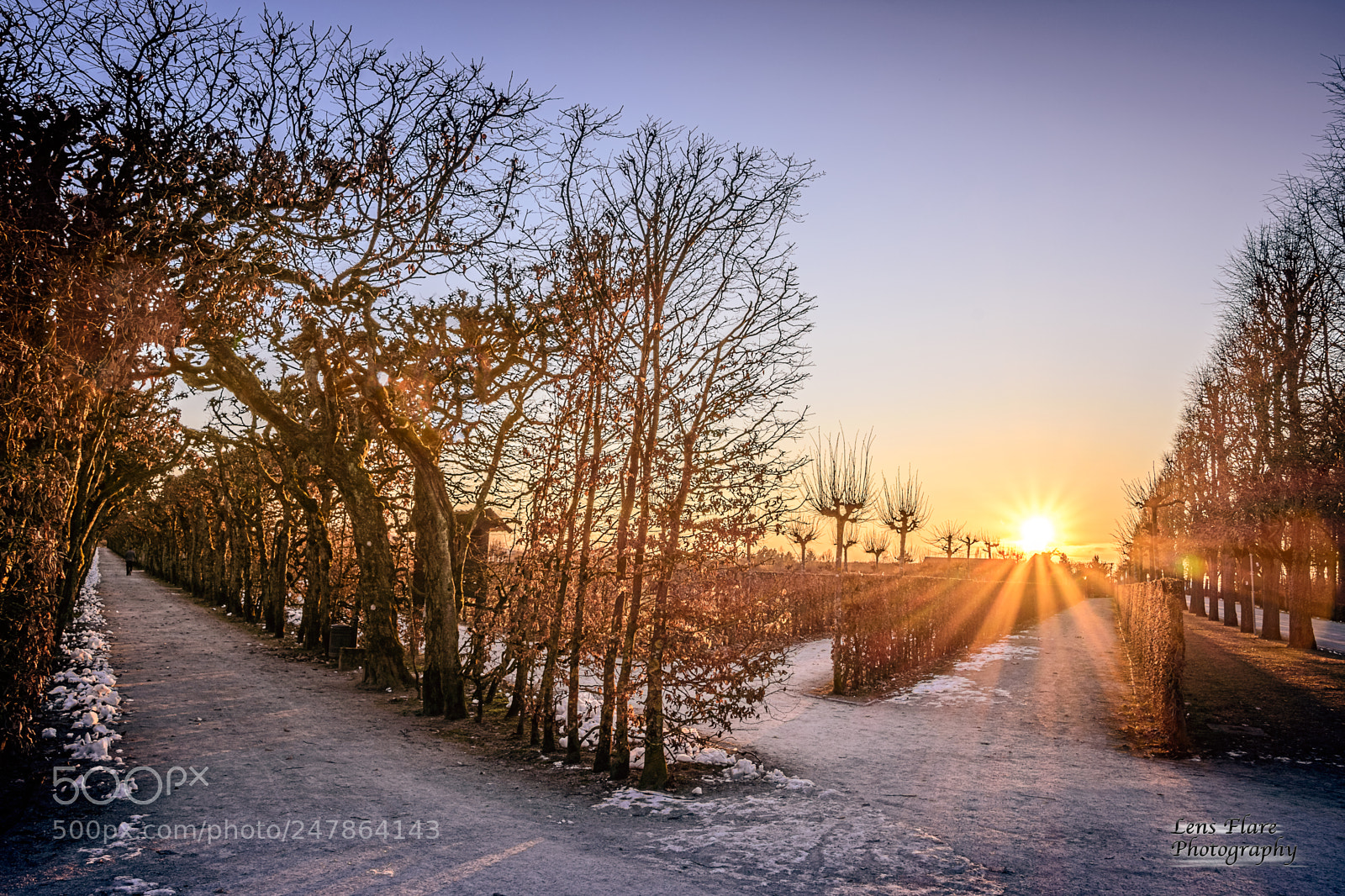 Nikon D7200 sample photo. Sun goes down photography