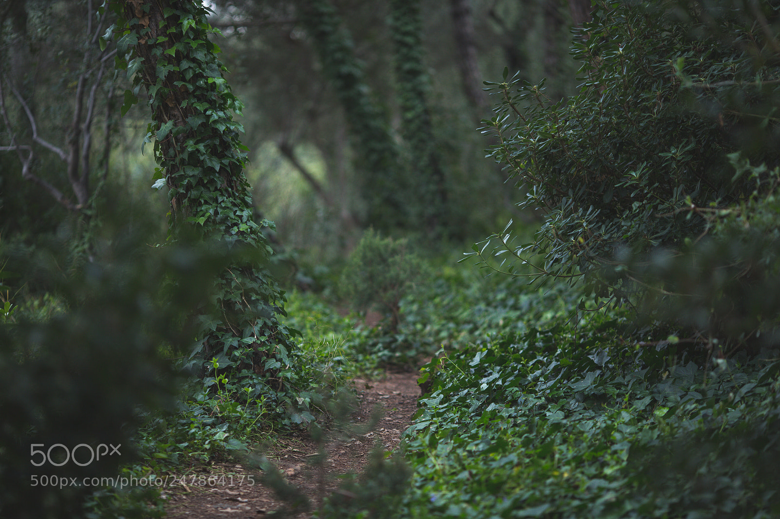 Canon EOS-1D X sample photo. Untitled photography