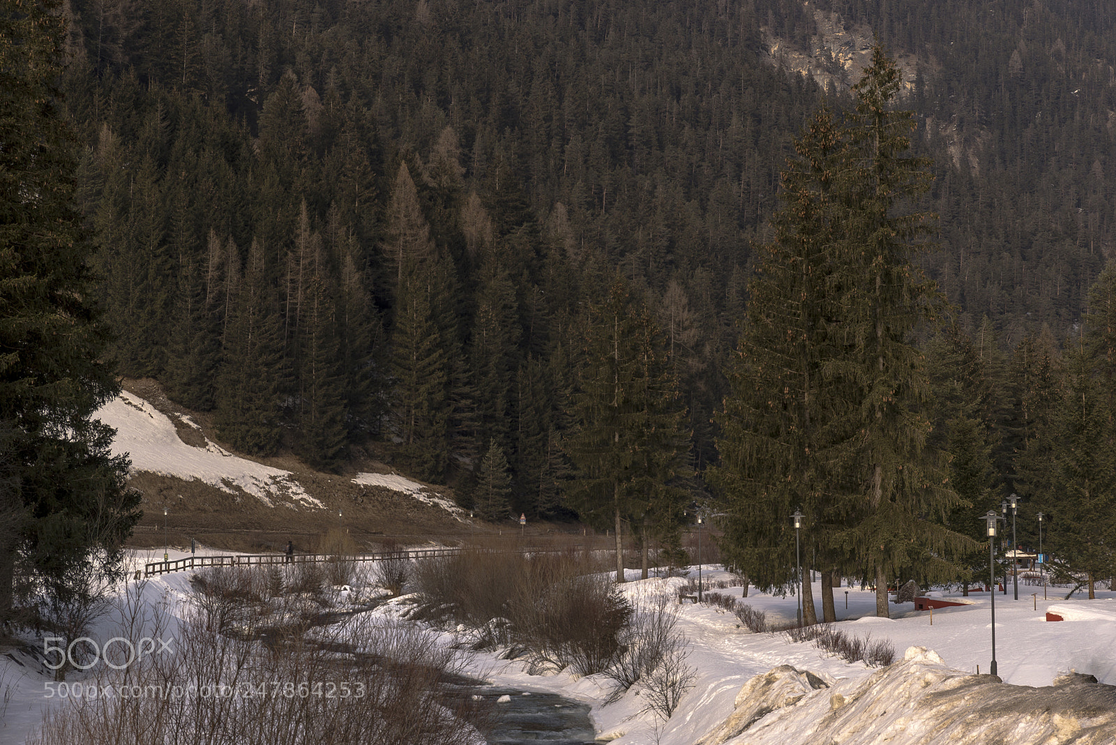 Nikon D610 sample photo. Campitello di fassa photography
