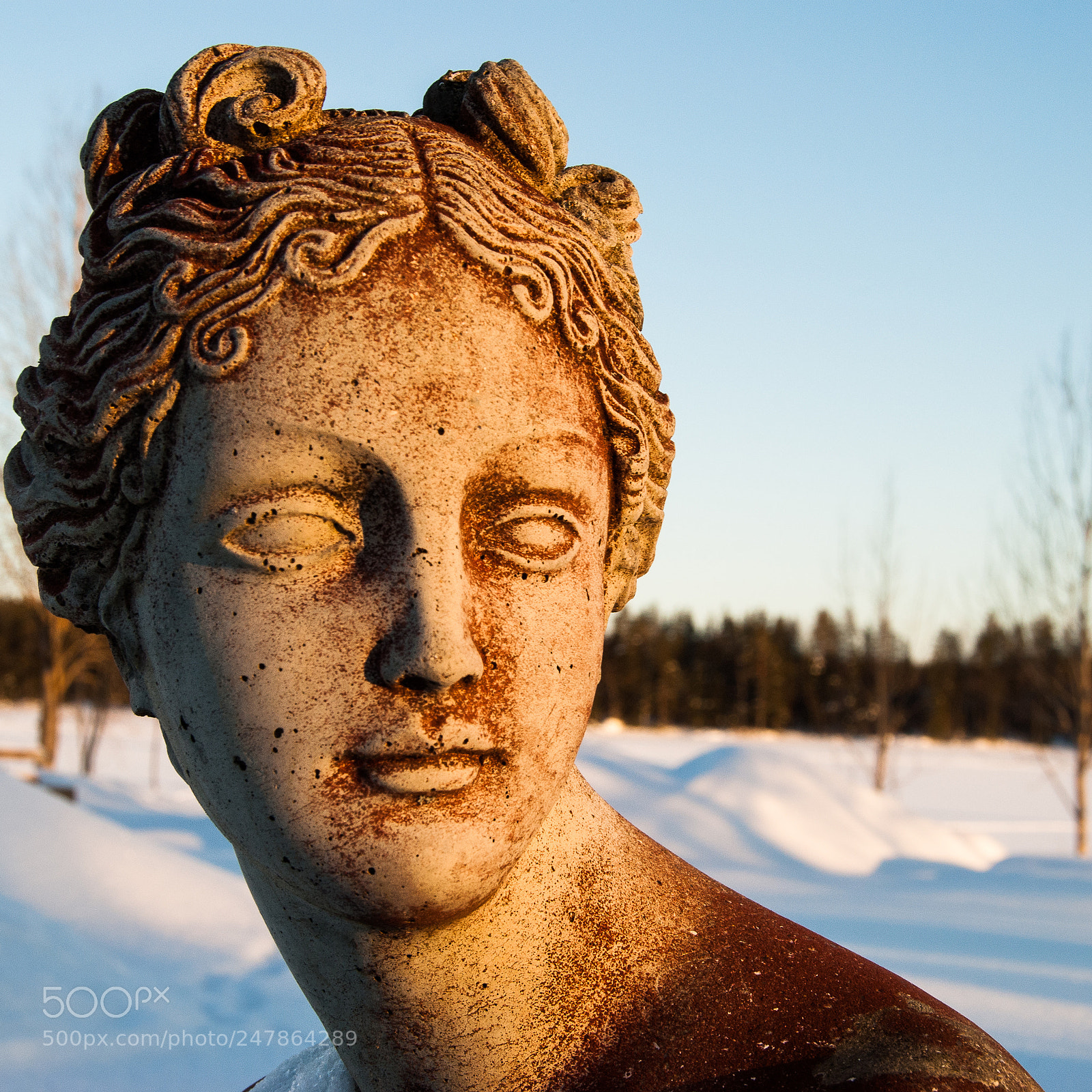 Nikon D3000 sample photo. Petrified of snow photography
