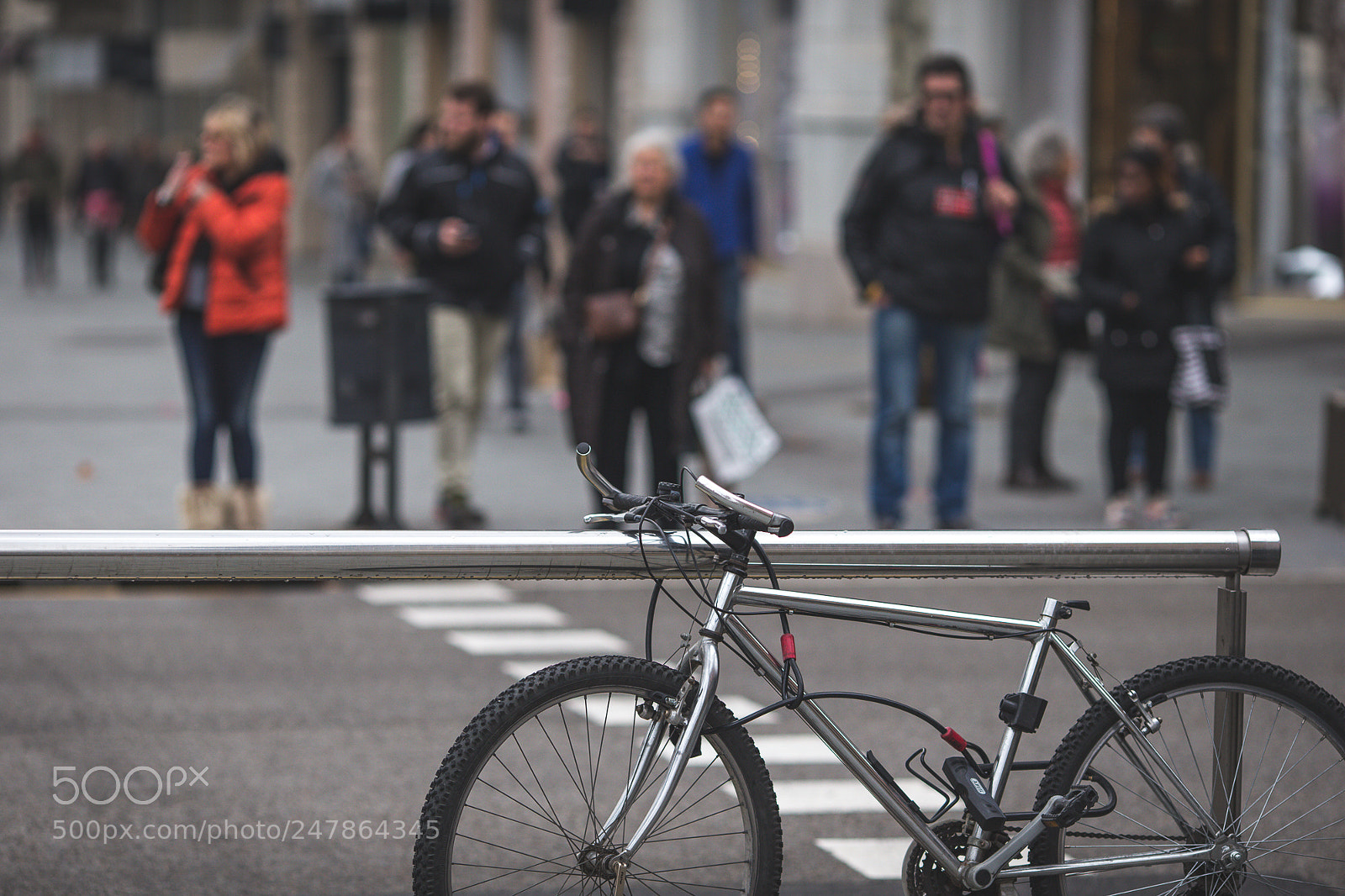 Canon EOS-1D X sample photo. Untitled photography