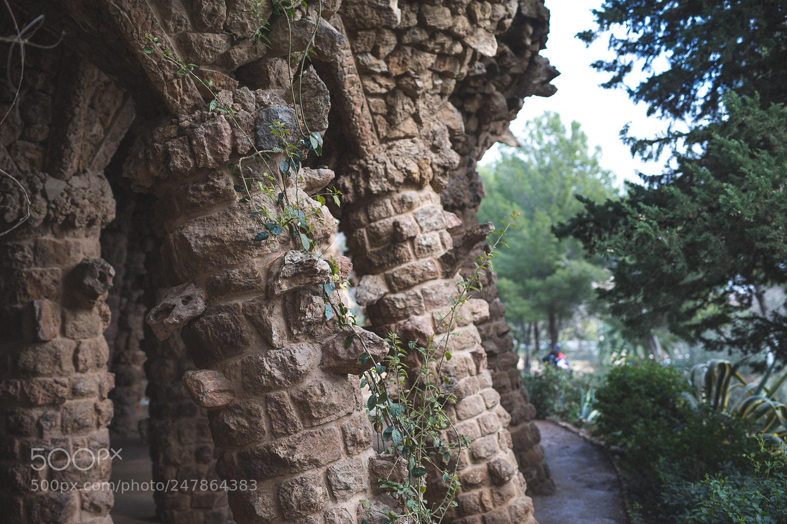 Canon EOS-1D X sample photo. Untitled photography