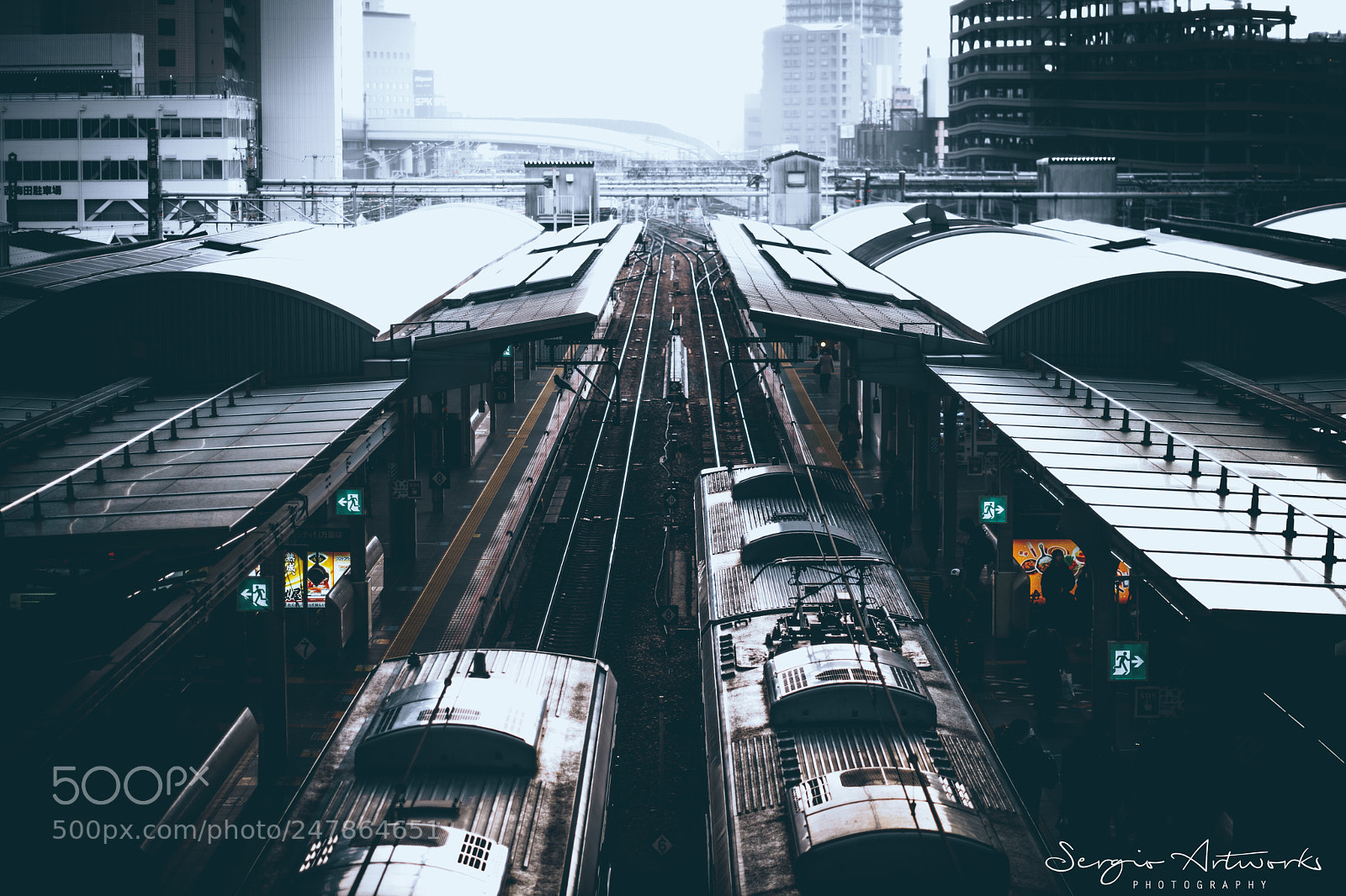 Sony a7 II sample photo. Osaka station photography