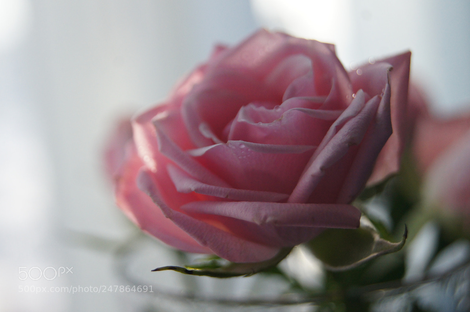 Sony Alpha DSLR-A580 sample photo. Aurora photography