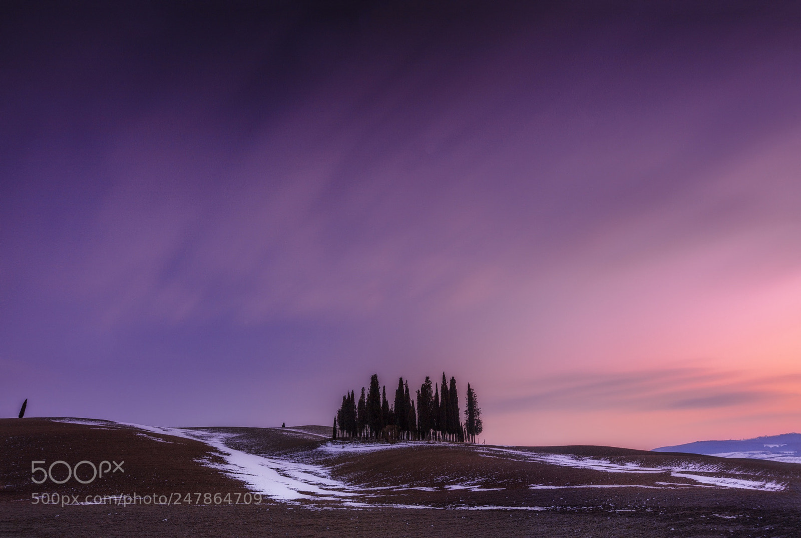 Canon EOS 5DS R sample photo. Cipressi val d’orcia photography