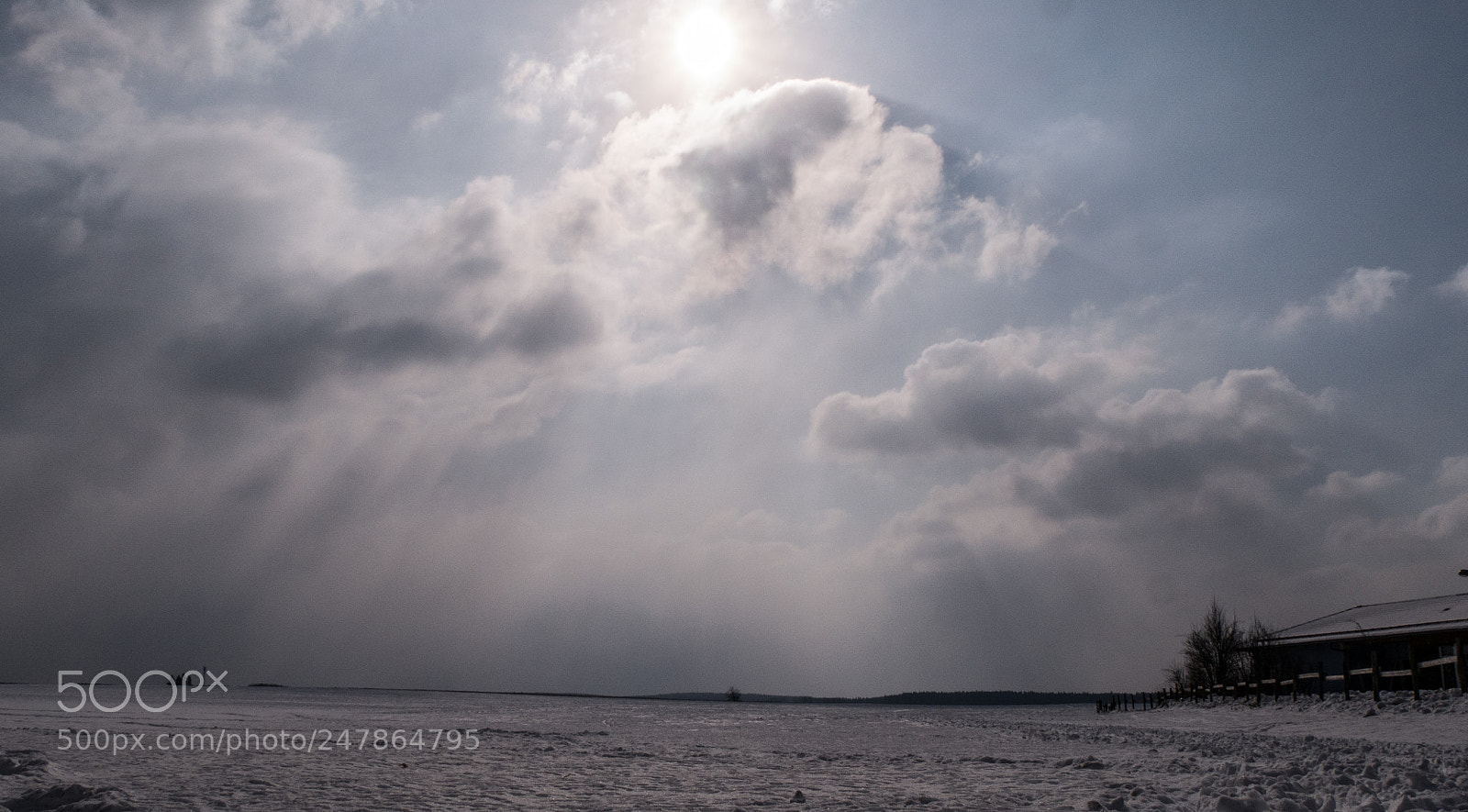 Panasonic DMC-G70 sample photo. Cold winter day photography