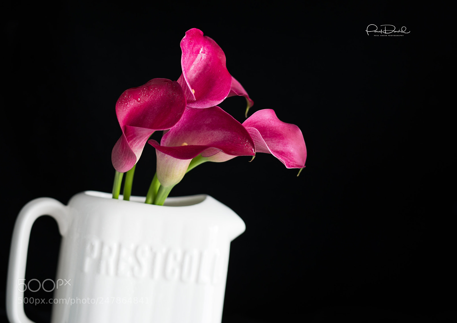 Canon EOS-1D X Mark II sample photo. Grace photography