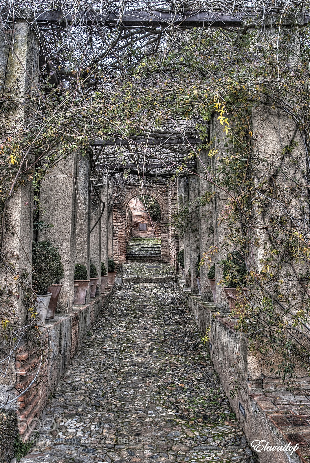 Nikon D3000 sample photo. Rincones de la alhambra photography