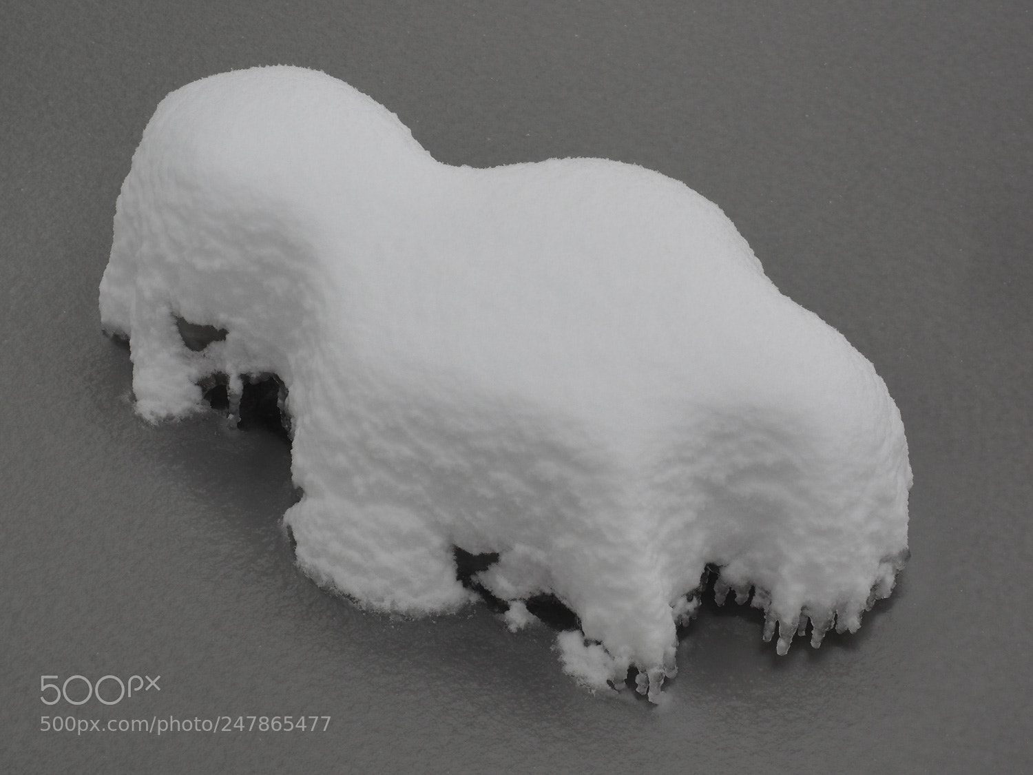 Olympus OM-D E-M1 sample photo. Untitled photography