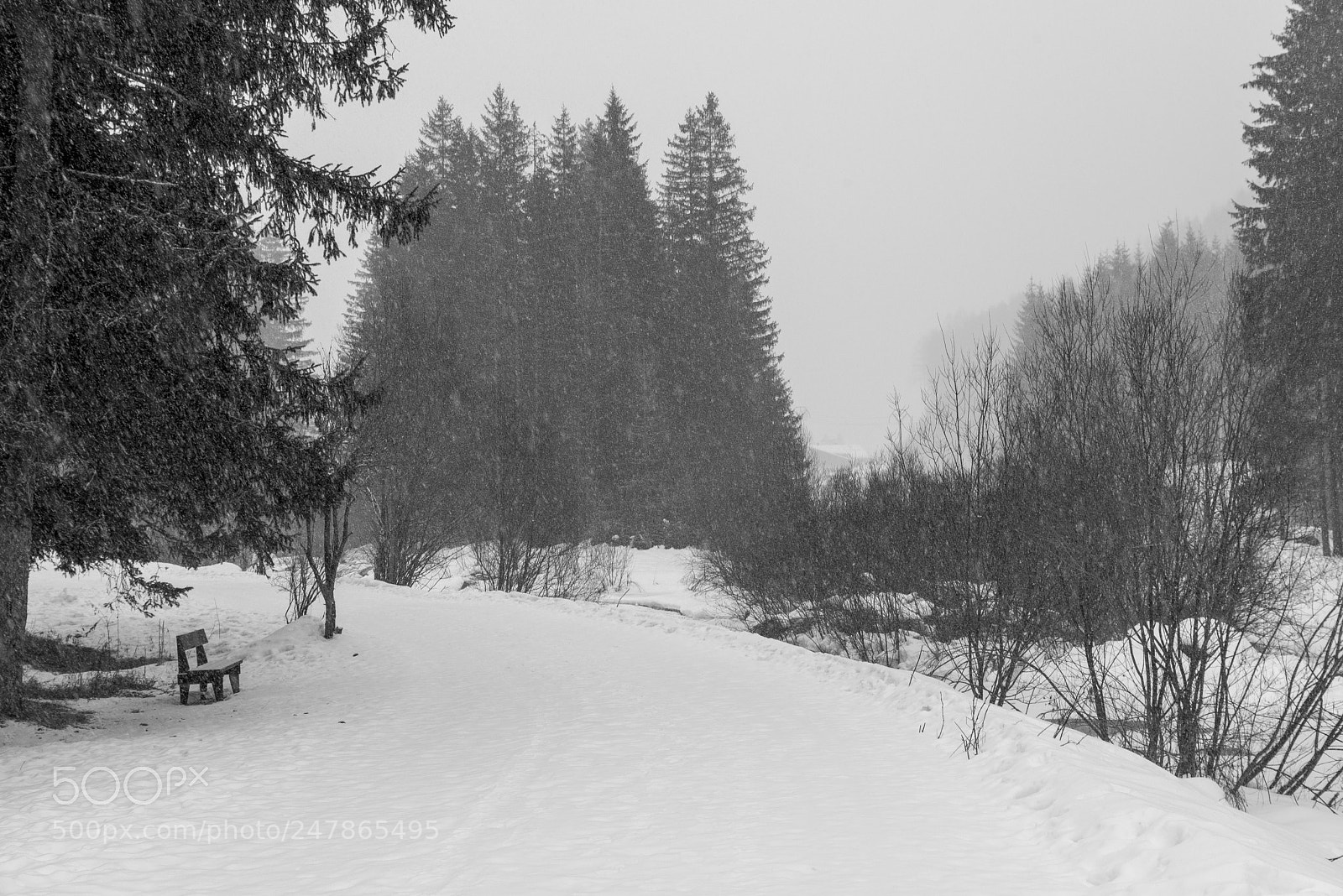 Nikon D610 sample photo. La panchina photography
