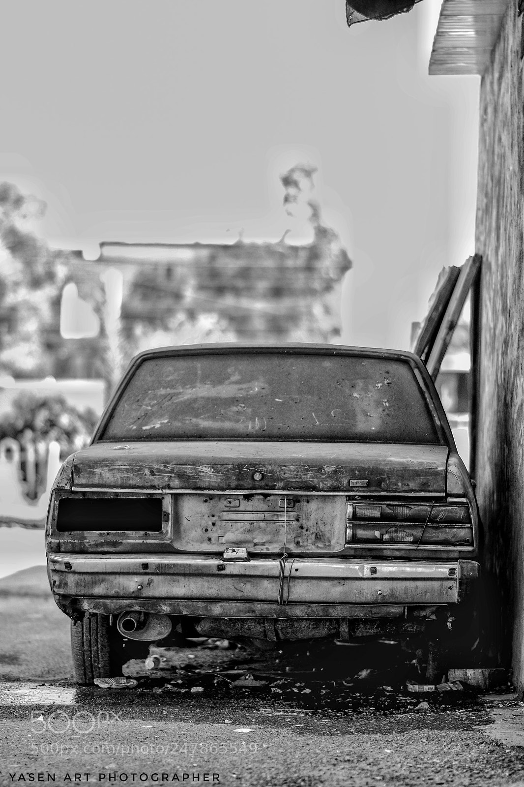 Nikon D7100 sample photo. Untitled photography