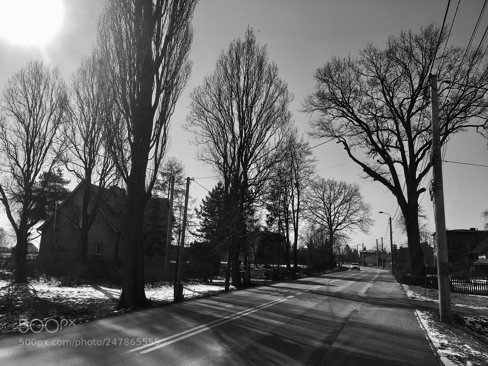 Apple iPhone SE sample photo. Tree shadows in winter photography