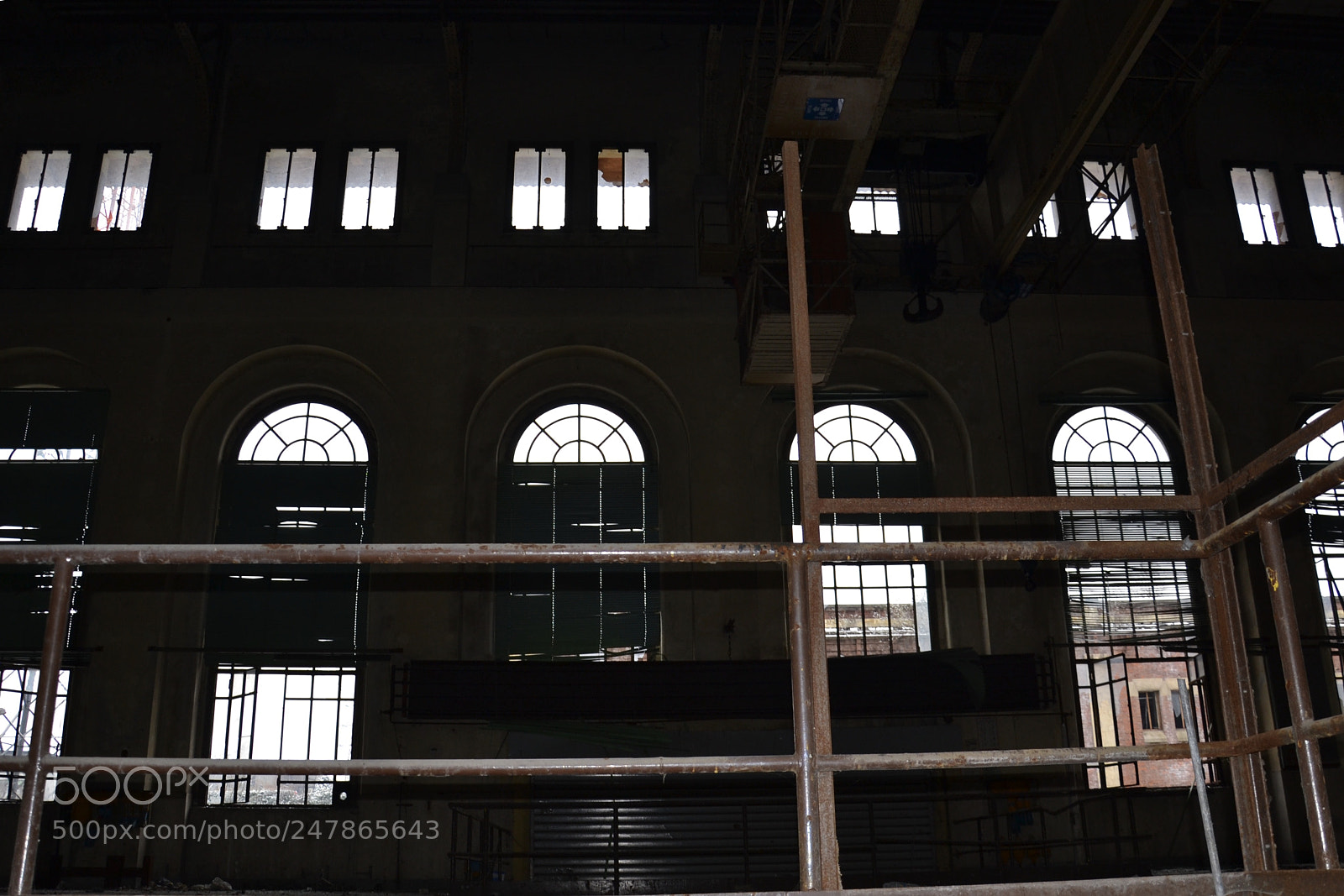 Nikon D3100 sample photo. Untitled photography