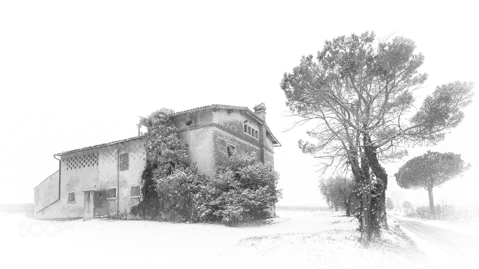 Nikon D600 sample photo. Neve d'altri tempi photography