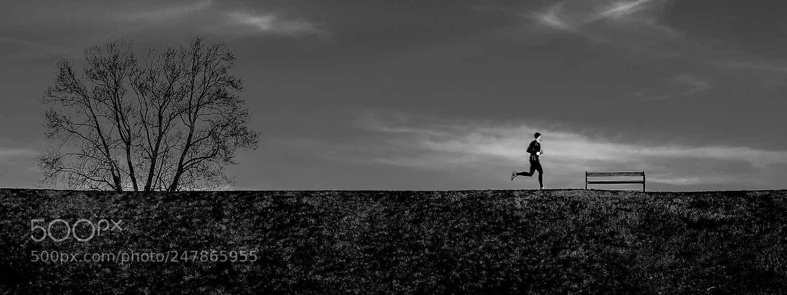 Sony a7 II sample photo. Runner of copenhagen photography