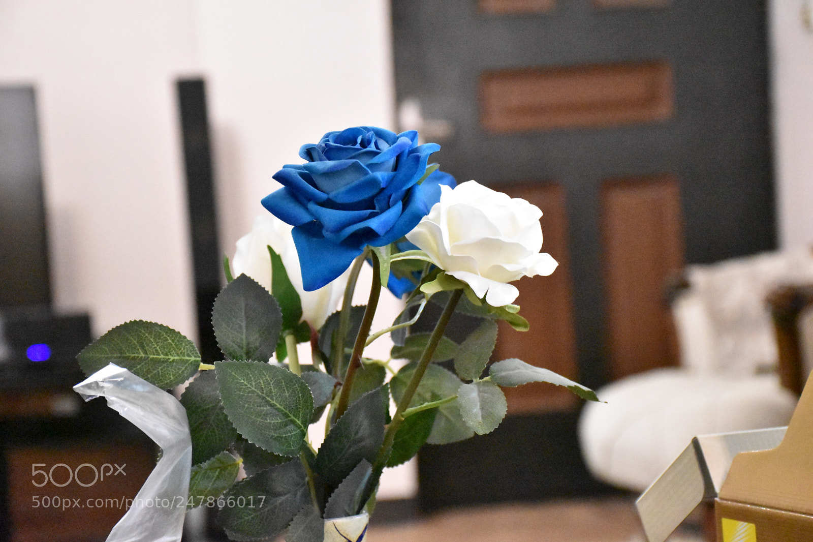 Nikon D5600 sample photo. Dsc photography