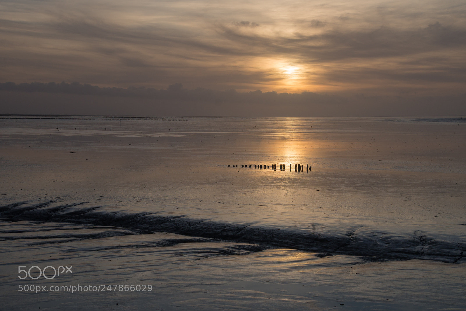 Sony a99 II sample photo. The wadden photography