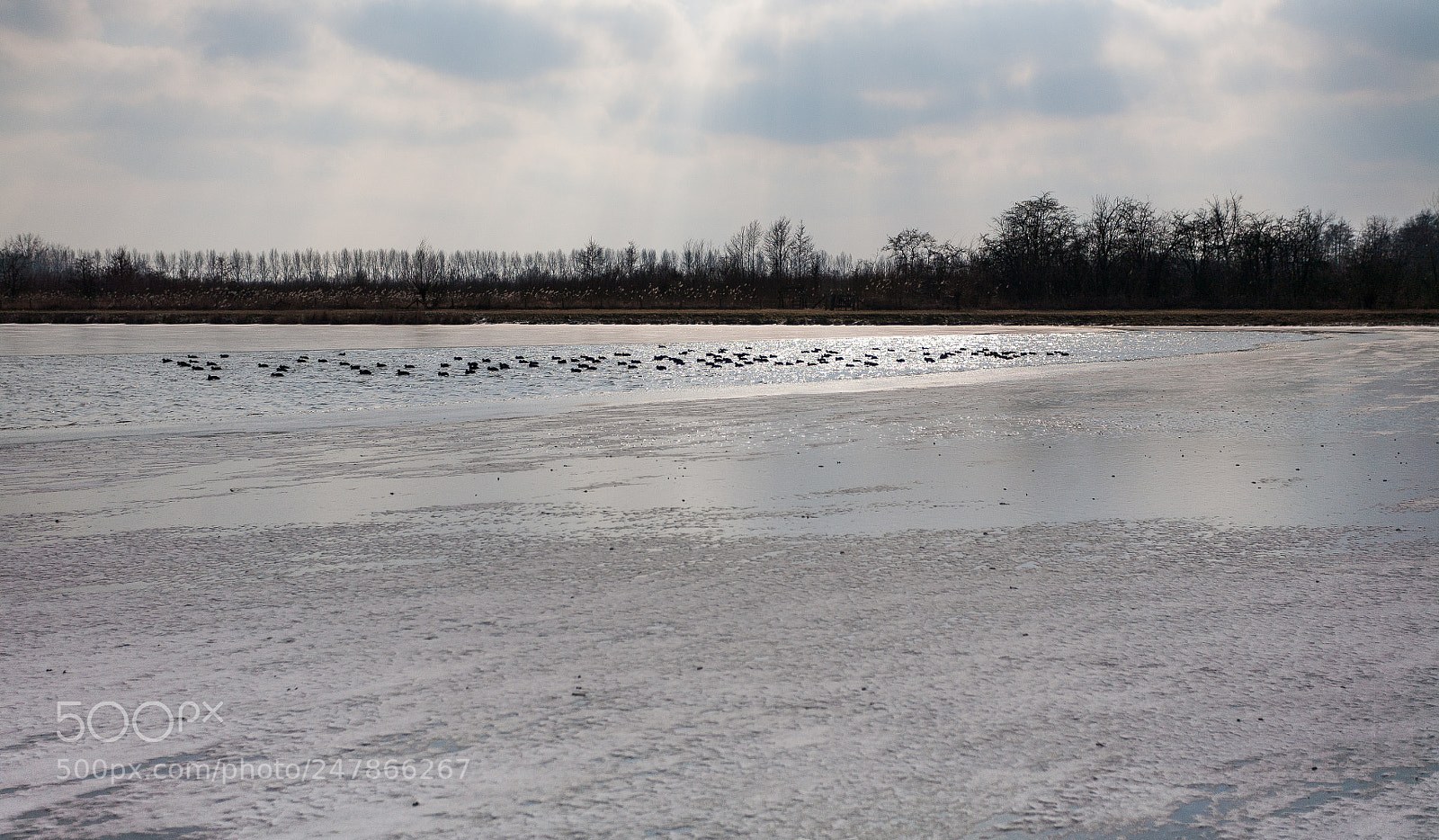 Canon EOS 5D sample photo. Cold! photography