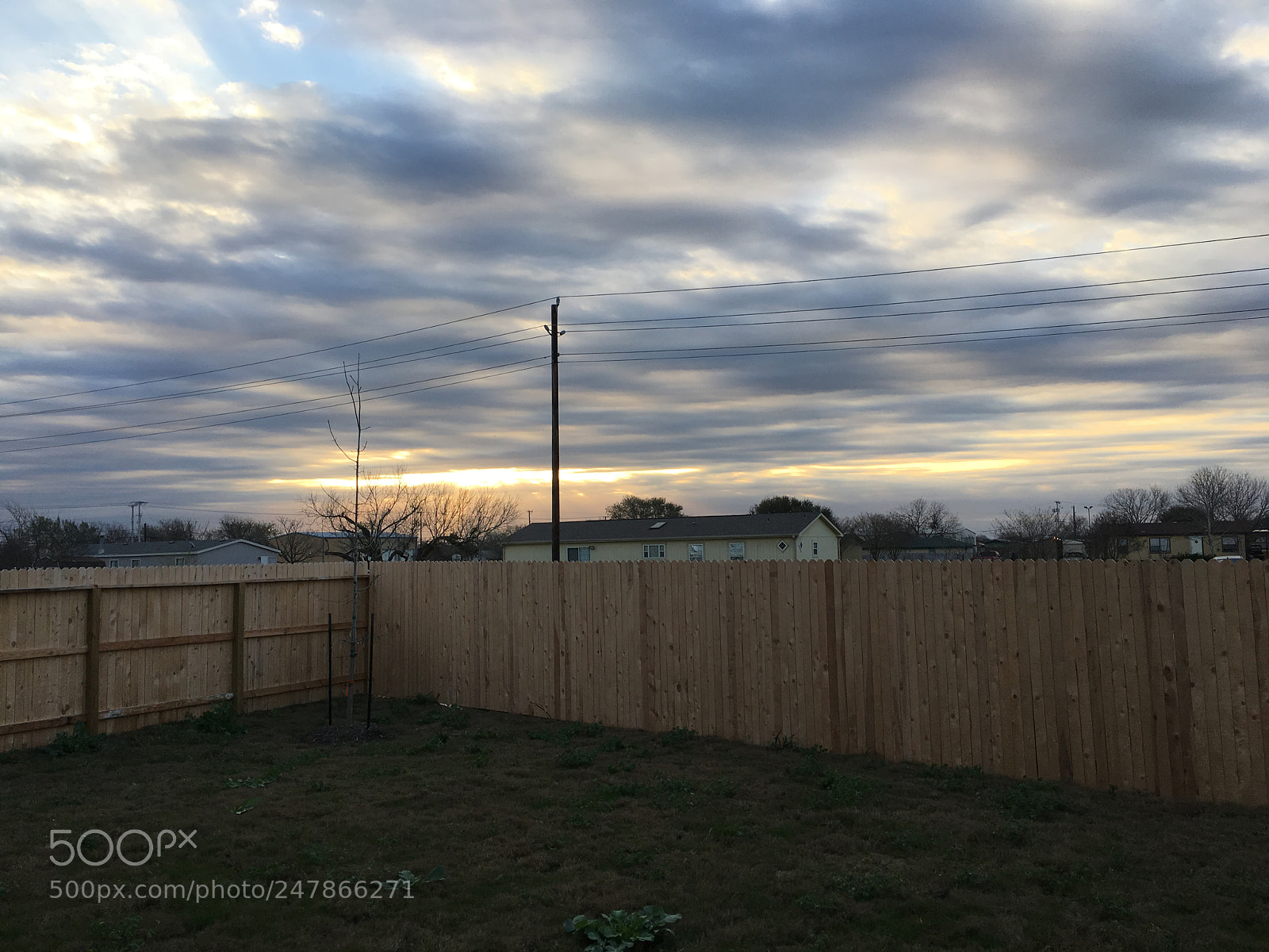 Apple iPhone 6s sample photo. Backyard skies unedited photography