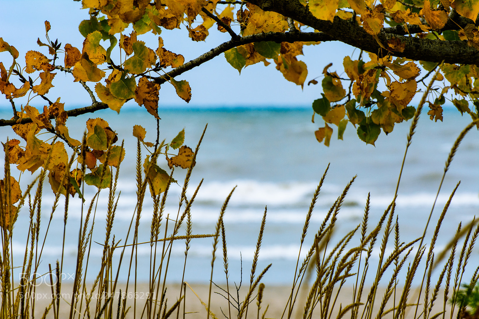 Nikon D5200 sample photo. Untitled window to the photography