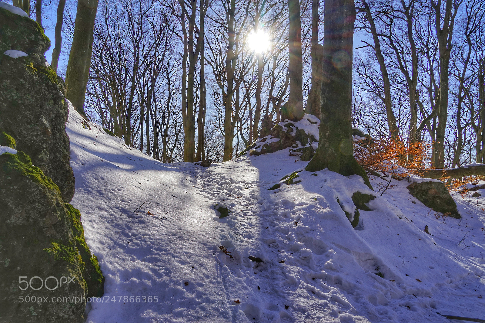 Sony a7R sample photo. Winterstimmung am nerother kopf photography