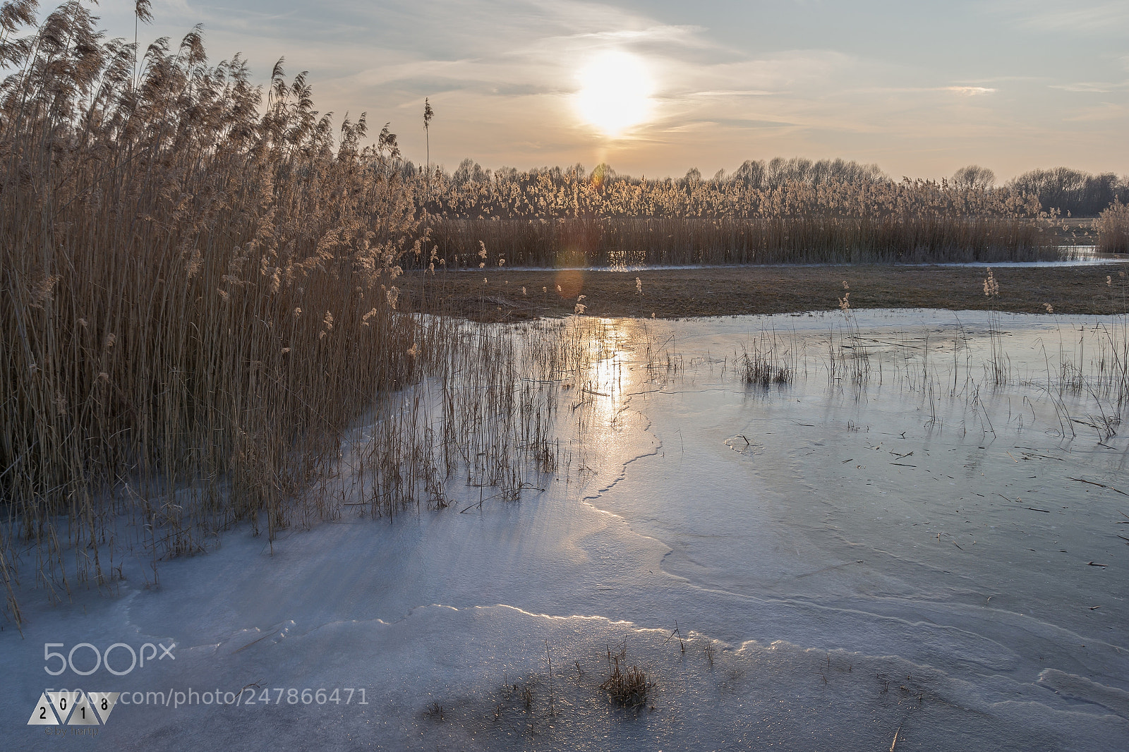 Nikon D7200 sample photo. Winterstille photography