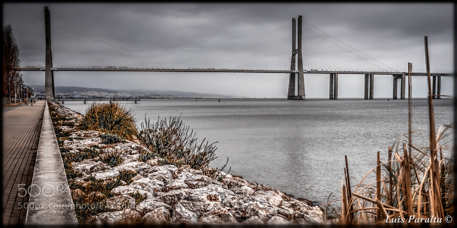 Nikon D90 sample photo. Winter time photography