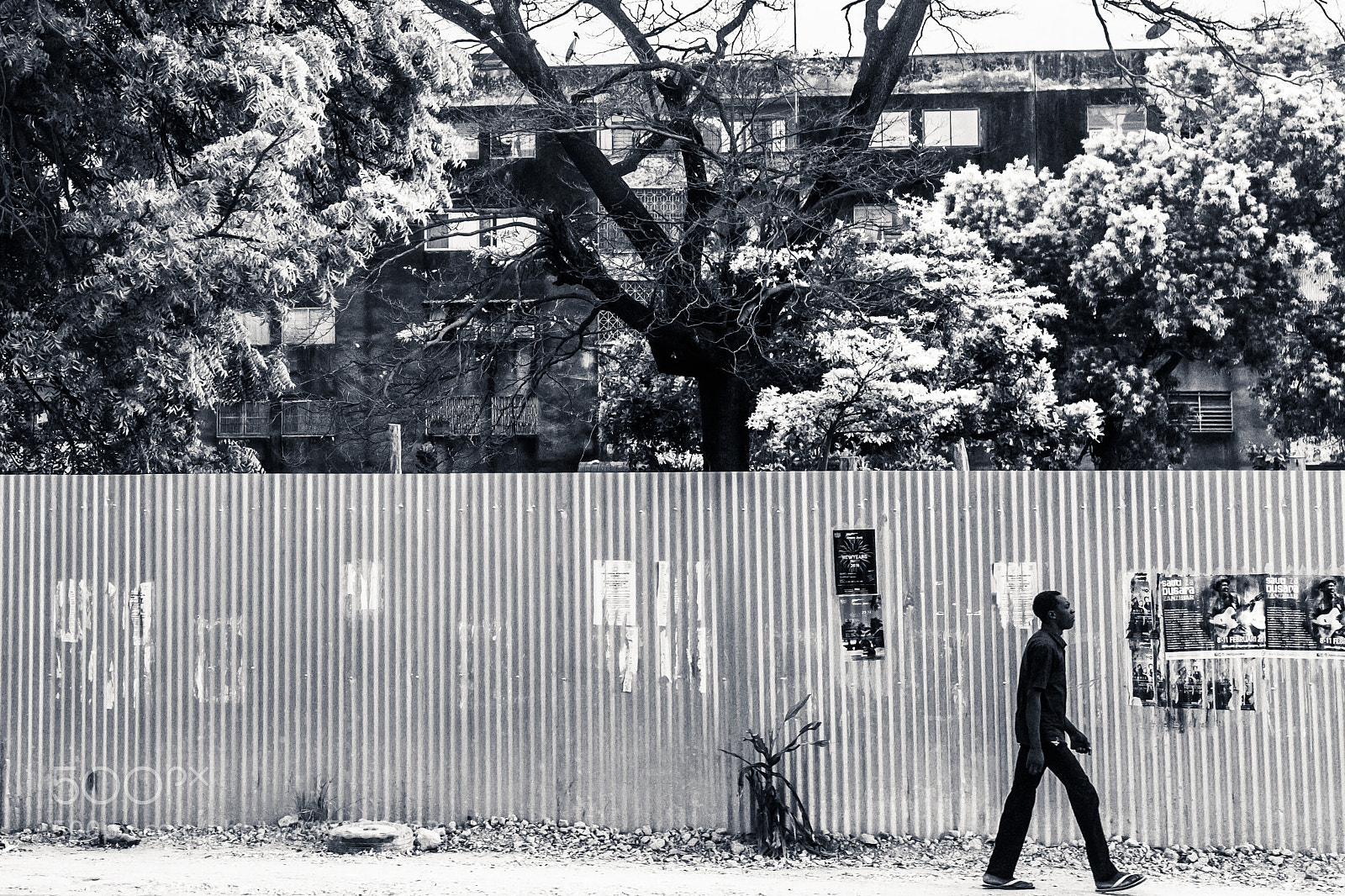 Nikon D7100 sample photo. Man in black photography