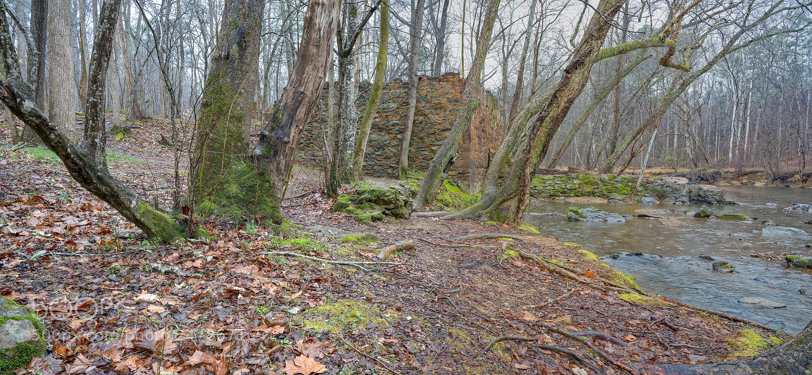 Sony a7R III sample photo. Enoriverparkpumpstationtraildurhamnc pano photography