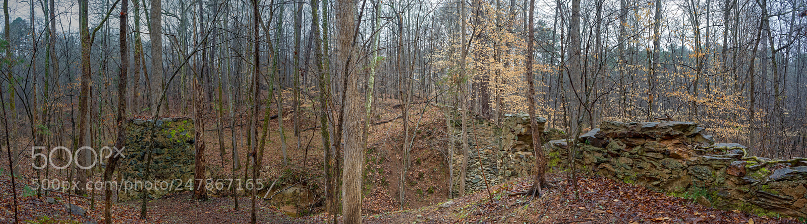 Sony a7R III sample photo. Enoriverparkpumpstationtraildurhamnc pano photography