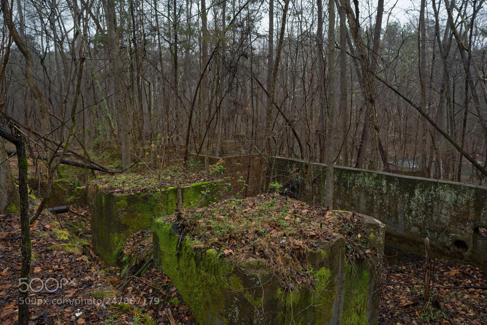 Sony a7R III sample photo. Enoriverparkpumpstationtraildurhamnc photography