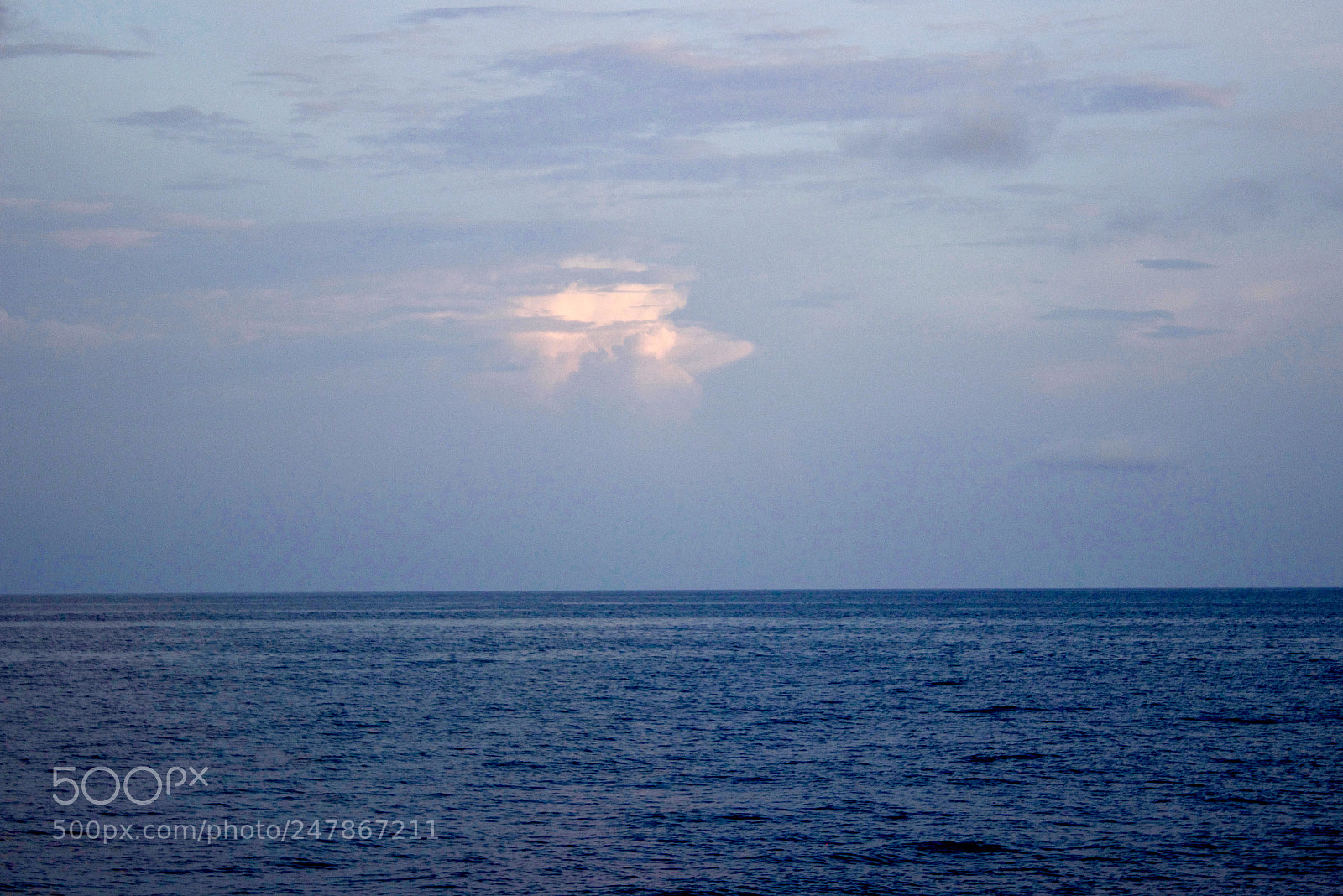 Canon EOS 600D (Rebel EOS T3i / EOS Kiss X5) sample photo. A flying gold fish photography