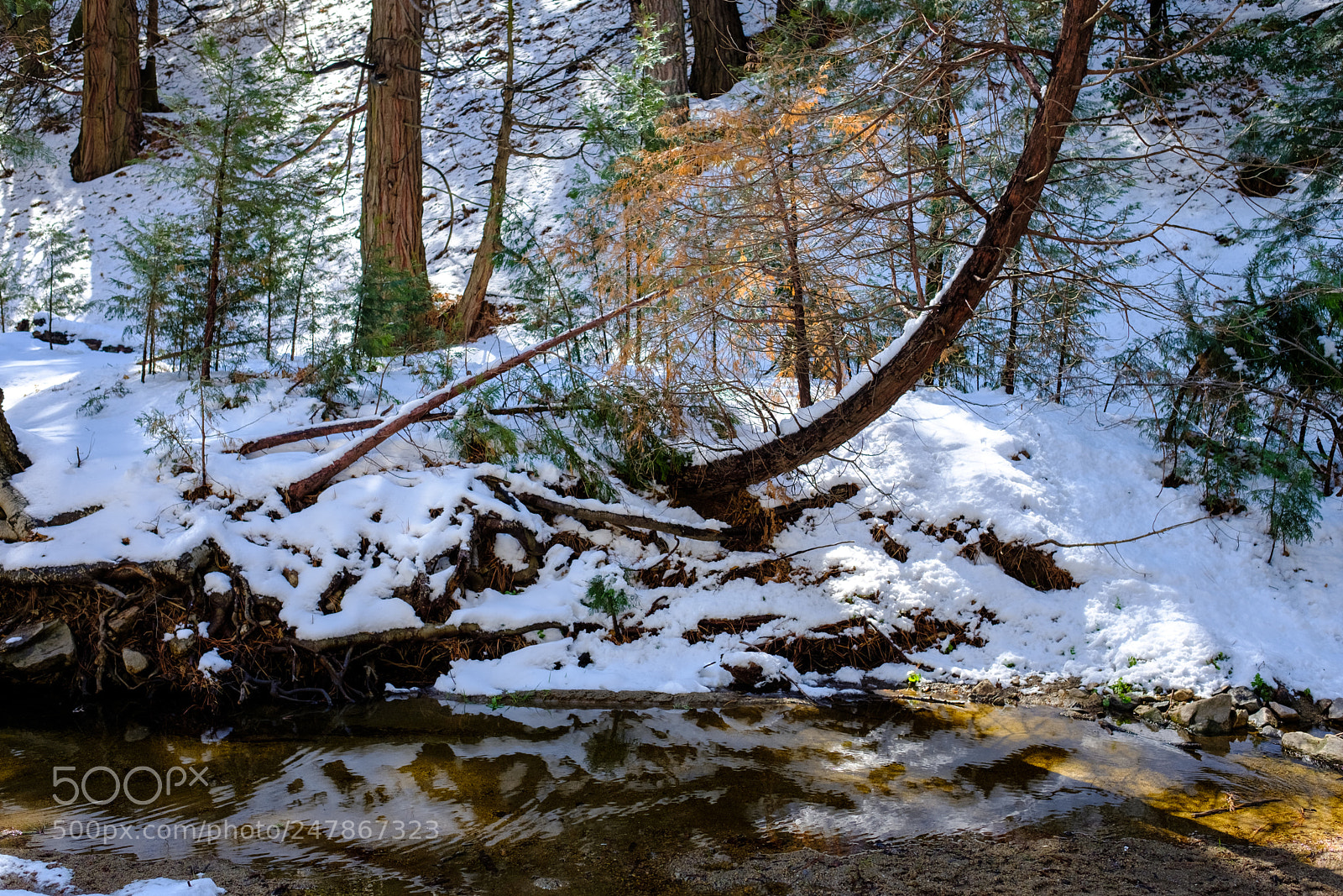 Fujifilm X-T2 sample photo. Seely creek, ca 1159 photography