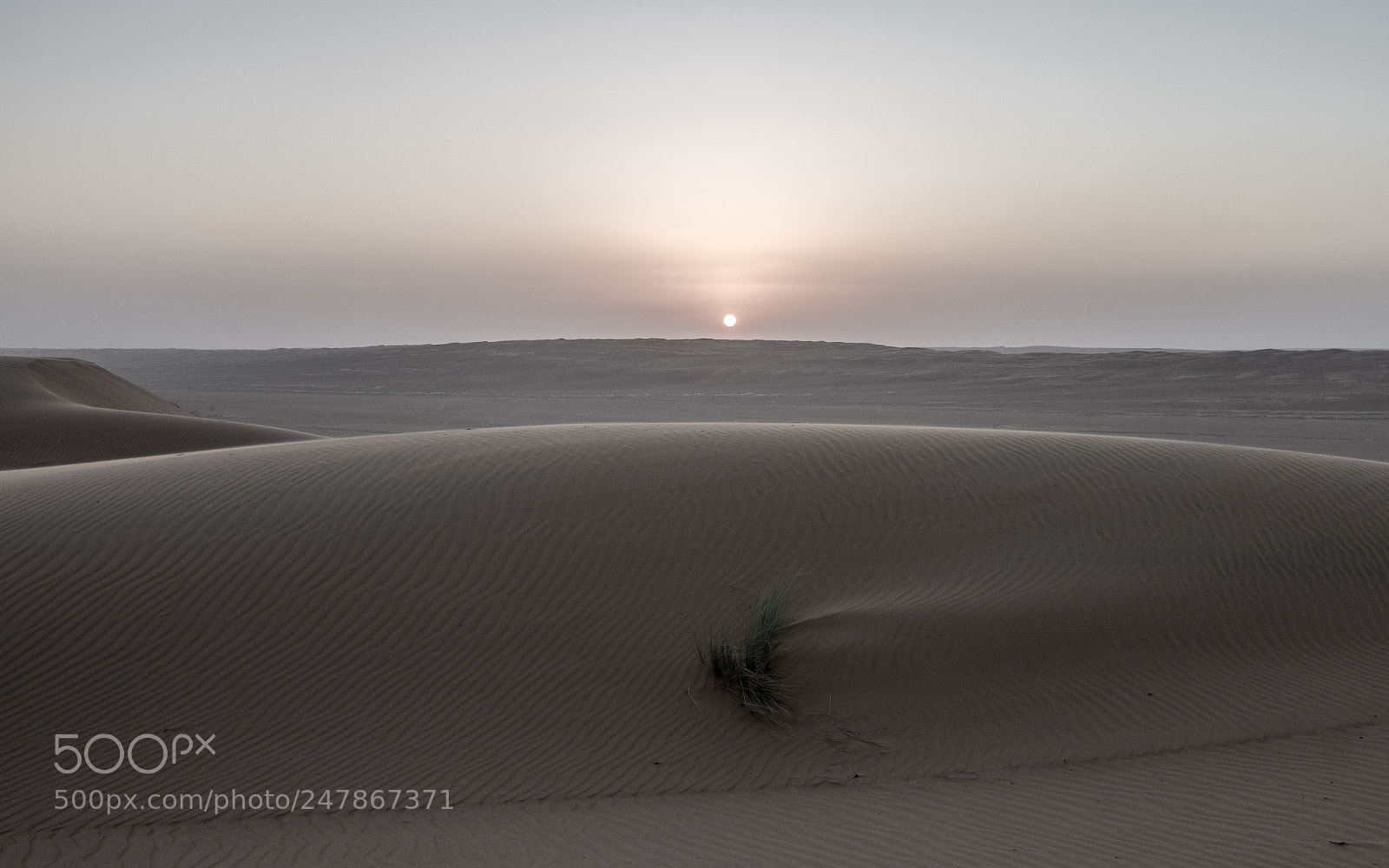 Canon EOS 7D Mark II sample photo. Wahiba sands desert sunset photography