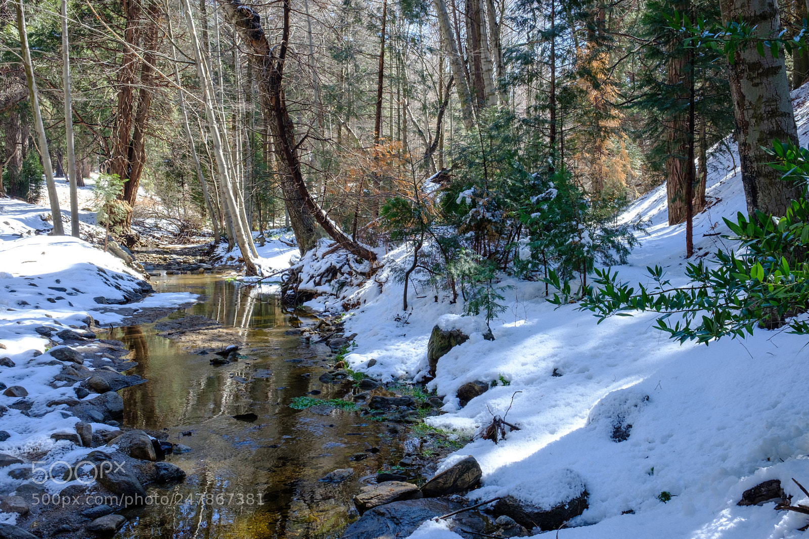 Fujifilm X-T2 sample photo. Seely creek, ca 1183 photography